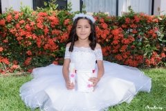 Alondra-61