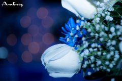 Boda Sandra y José Manuel-473