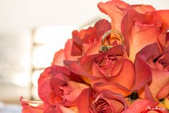 K&E-16