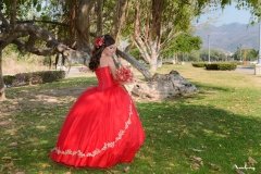 Dafne XV años-28