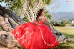 Dafne XV años-36