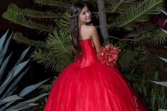 XV años Dafne-113