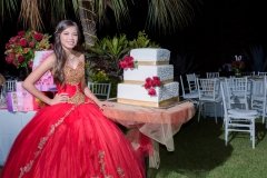 XV años Dafne-133